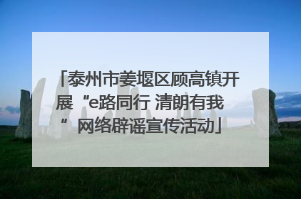 泰州市姜堰区顾高镇开展“e路同行 清朗有我”网络辟谣宣传活动