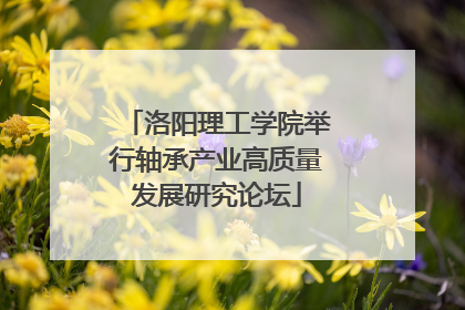 洛阳理工学院举行轴承产业高质量发展研究论坛