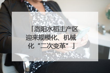 洛阳水稻主产区迎来规模化、机械化“二次变革”