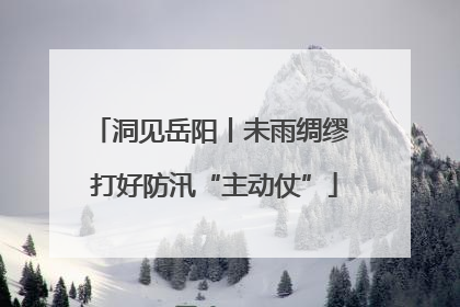 洞见岳阳丨未雨绸缪 打好防汛“主动仗”