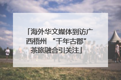 海外华文媒体到访广西梧州 “千年古郡”茶旅融合引关注