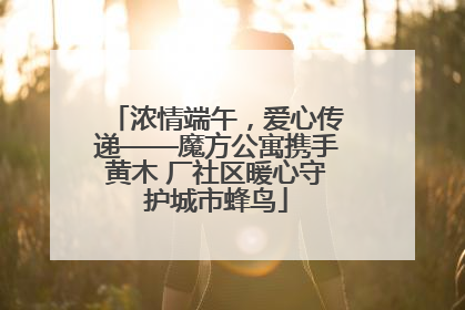 浓情端午，爱心传递——魔方公寓携手黄木 厂社区暖心守护城市蜂鸟