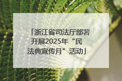 浙江省司法厅部署开展2025年“民法典宣传月”活动