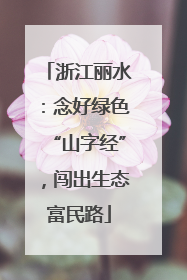 浙江丽水：念好绿色“山字经”，闯出生态富民路