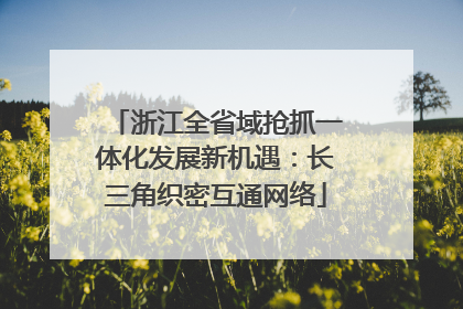浙江全省域抢抓一体化发展新机遇：长三角织密互通网络