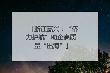 浙江嘉兴：“侨力护航”助企高质量“出海”