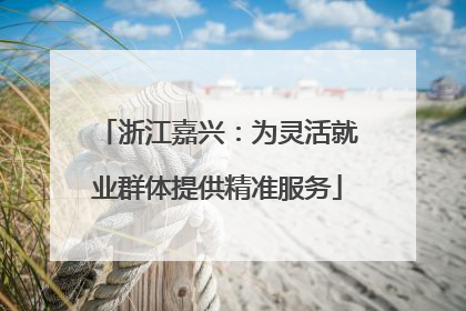 浙江嘉兴：为灵活就业群体提供精准服务