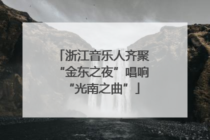 浙江音乐人齐聚“金东之夜”唱响“光南之曲”