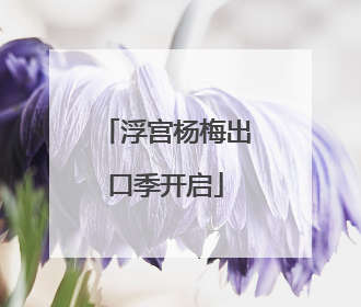 浮宫杨梅出口季开启