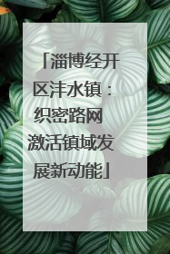 淄博经开区沣水镇：织密路网 激活镇域发展新动能