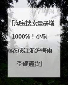 淘宝搜索量暴增1000%！小狗雨衣成江浙沪梅雨季硬通货