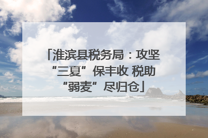 淮滨县税务局：攻坚“三夏”保丰收 税助“弱麦”尽归仓