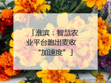 淮滨：智慧农业平台跑出麦收“加速度”