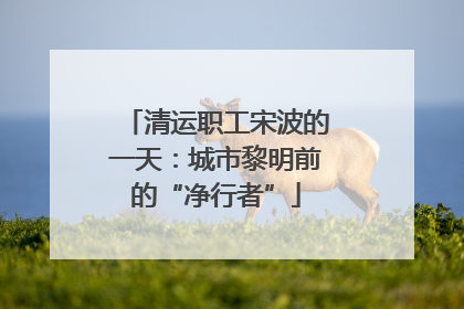 清运职工宋波的一天：城市黎明前的“净行者”