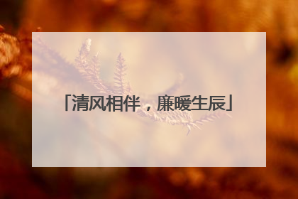 清风相伴，廉暖生辰