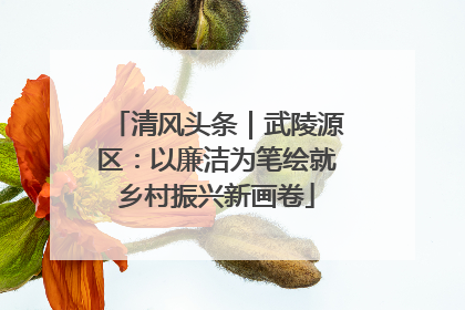 清风头条｜武陵源区：以廉洁为笔绘就乡村振兴新画卷