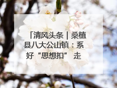 清风头条｜桑植县八大公山镇：系好“思想扣” 走稳“青廉路”