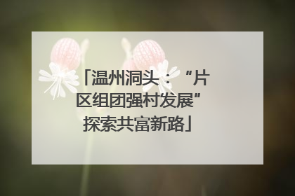 温州洞头：“片区组团强村发展”探索共富新路
