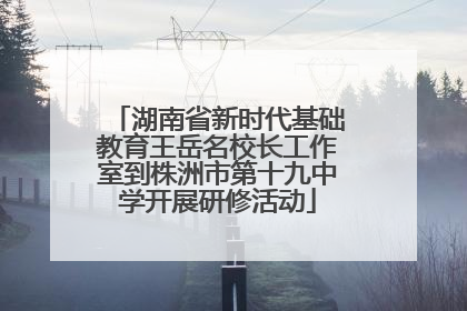 湖南省新时代基础教育王岳名校长工作室到株洲市第十九中学开展研修活动