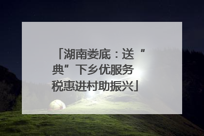 湖南娄底：送“典”下乡优服务 税惠进村助振兴