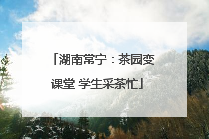 湖南常宁：茶园变课堂 学生采茶忙