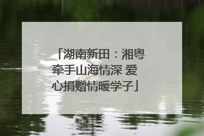 湖南新田：湘粤牵手山海情深 爱心捐赠情暖学子