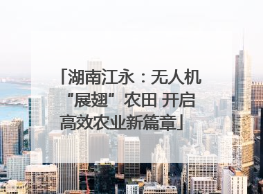 湖南江永：无人机“展翅”农田 开启高效农业新篇章