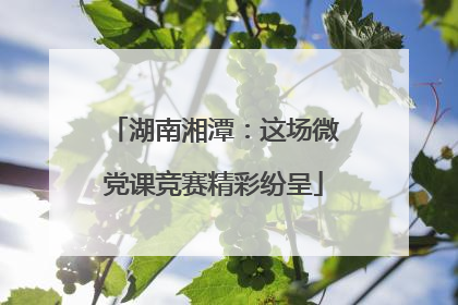 湖南湘潭：这场微党课竞赛精彩纷呈