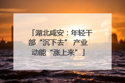 湖北咸安：年轻干部“沉下去” 产业动能“涨上来”