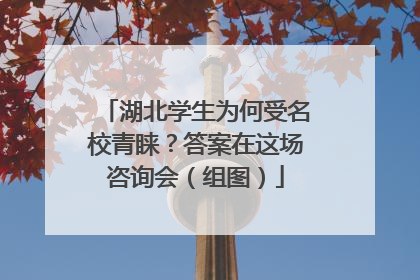 湖北学生为何受名校青睐？答案在这场咨询会（组图）