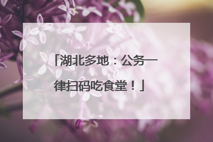 湖北多地：公务一律扫码吃食堂！