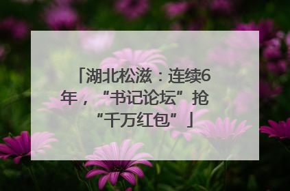 湖北松滋：连续6年，“书记论坛”抢“千万红包”