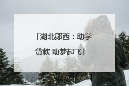 湖北郧西：助学贷款 助梦起飞