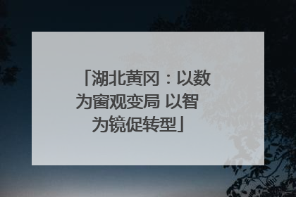 湖北黄冈：以数为窗观变局 以智为镜促转型