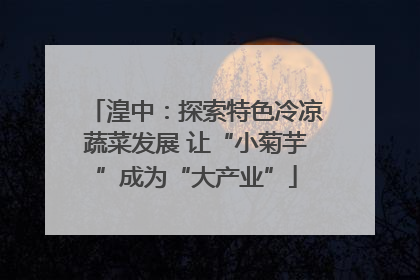 湟中：探索特色冷凉蔬菜发展 让“小菊芋”成为“大产业”