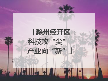 滁州经开区：科技攻“尖” 产业向“新”