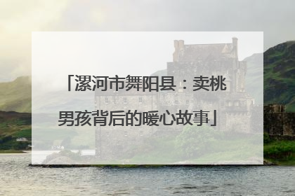 漯河市舞阳县：卖桃男孩背后的暖心故事