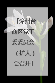 漳州台商区党工委委员会（扩大）会召开