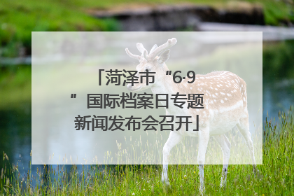 菏泽市“6·9”国际档案日专题新闻发布会召开