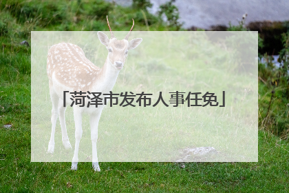 菏泽市发布人事任免
