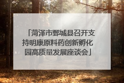 菏泽市鄄城县召开支持明康原料药创新孵化园高质量发展座谈会