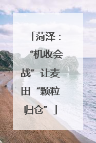 菏泽：“机收会战”让麦田“颗粒归仓”