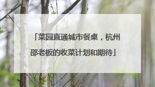 菜园直通城市餐桌，杭州邵老板的收菜计划和期待