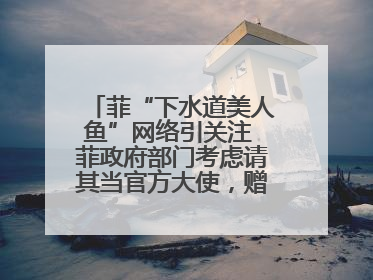 菲“下水道美人鱼”网络引关注 菲政府部门考虑请其当官方大使，赠现金开店