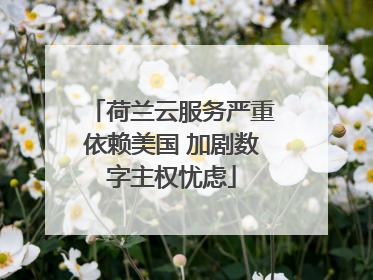 荷兰云服务严重依赖美国 加剧数字主权忧虑