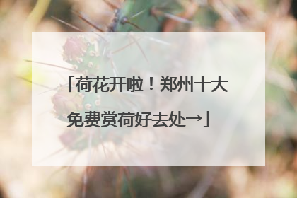 荷花开啦！郑州十大免费赏荷好去处→