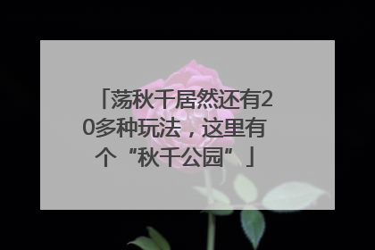 荡秋千居然还有20多种玩法，这里有个“秋千公园”
