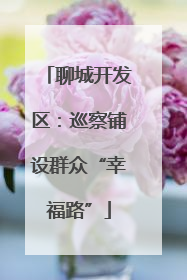 聊城开发区：巡察铺设群众“幸福路”
