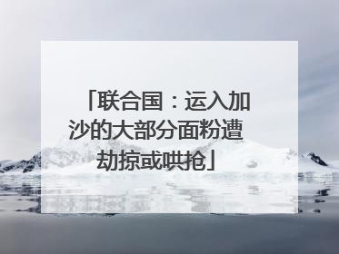 联合国：运入加沙的大部分面粉遭劫掠或哄抢
