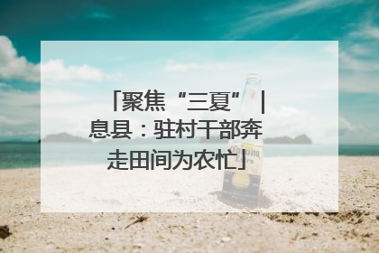 聚焦“三夏”｜息县：驻村干部奔走田间为农忙